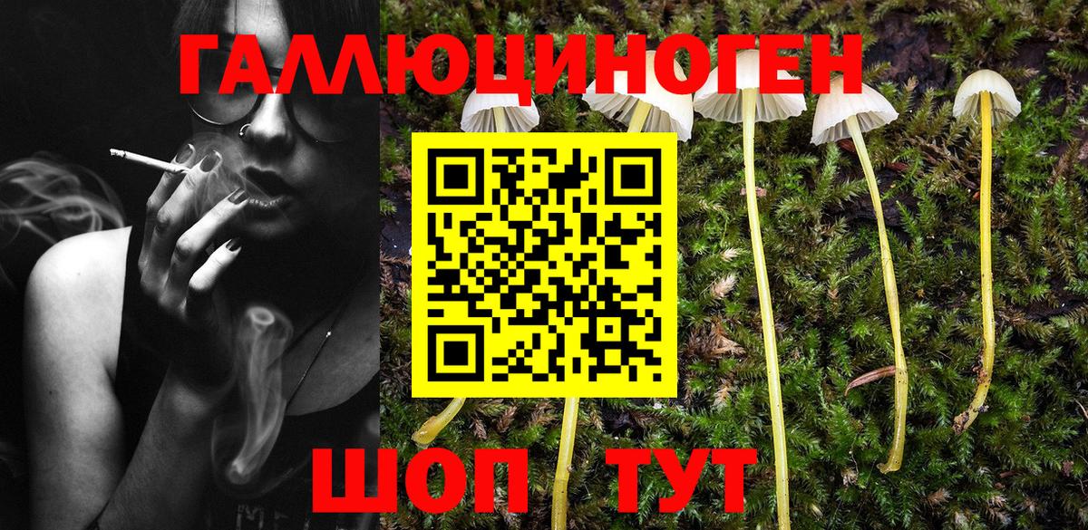 Галлюциногенные грибы прущие грибы  Вход с VPN  Глазов 